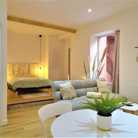 Sublime Cocon Pour 2 Aux Portes De La Place Nationale - Proximite Immediate Toutes Commodites Et Sites D'Interets Lägenhet Montauban Exteriör bild