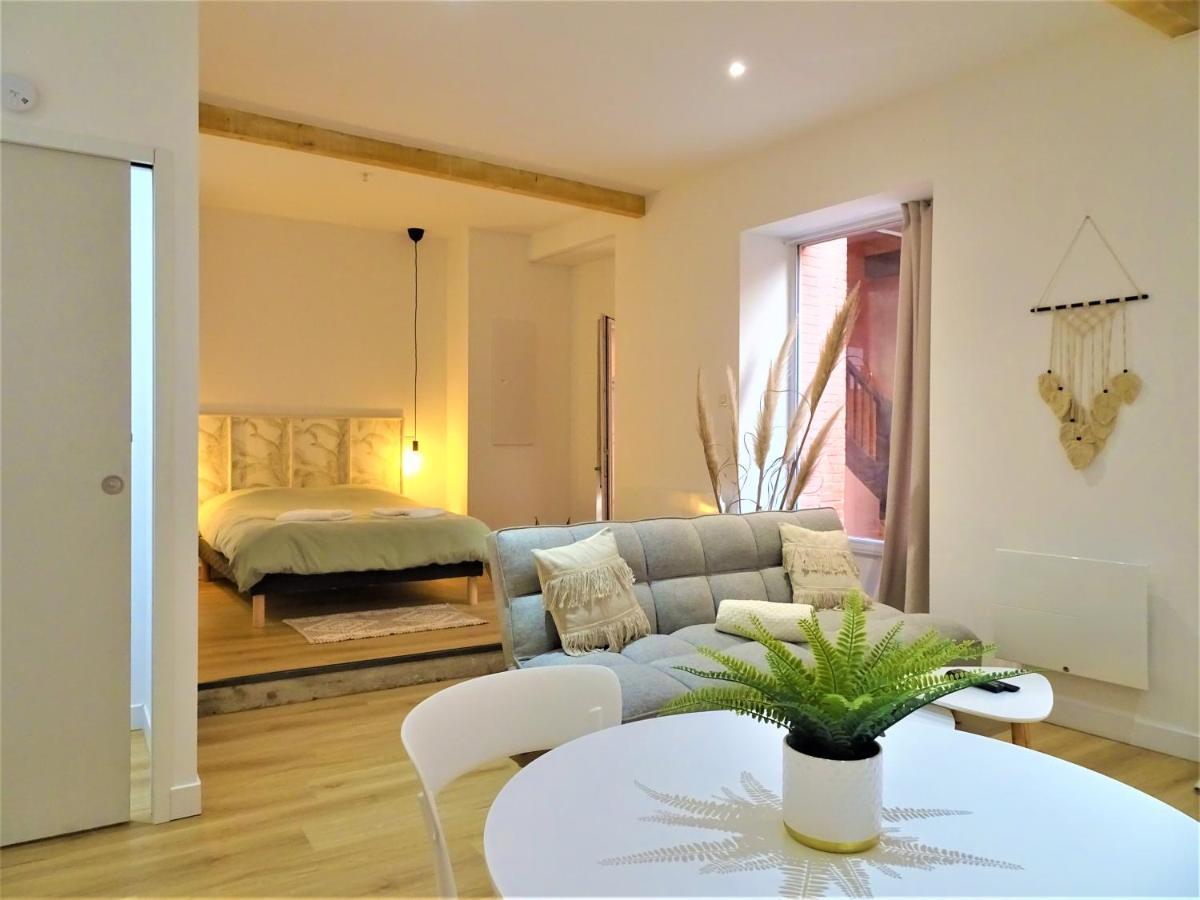 Sublime Cocon Pour 2 Aux Portes De La Place Nationale - Proximite Immediate Toutes Commodites Et Sites D'Interets Lägenhet Montauban Exteriör bild