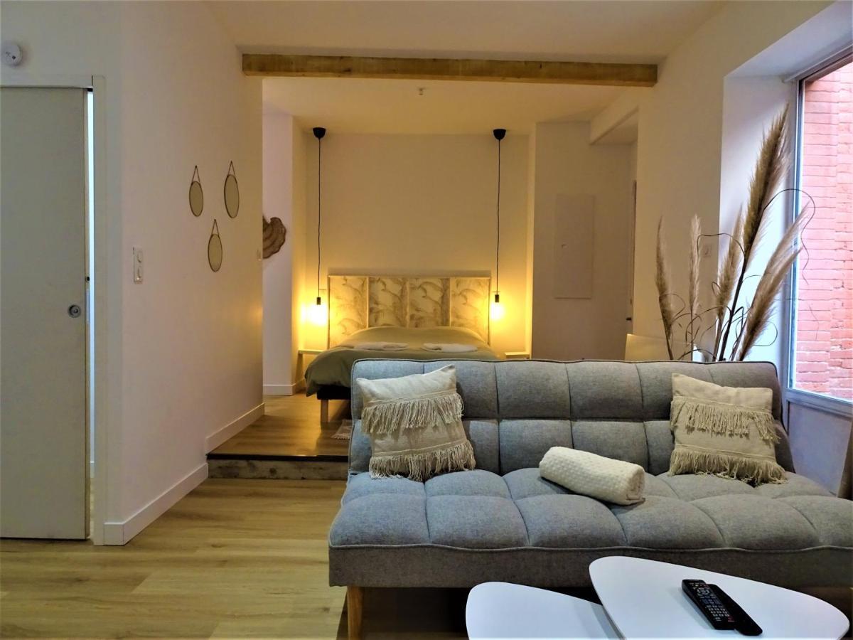 Sublime Cocon Pour 2 Aux Portes De La Place Nationale - Proximite Immediate Toutes Commodites Et Sites D'Interets Lägenhet Montauban Exteriör bild